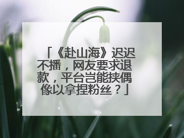 《赴山海》迟迟不播，网友要求退款，平台岂能挟偶像以拿捏粉丝？