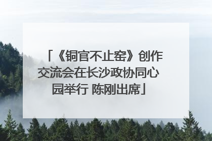 《铜官不止窑》创作交流会在长沙政协同心园举行 陈刚出席
