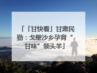 「甘快看」甘肃民勤：戈壁沙乡孕育“甘味”领头羊
