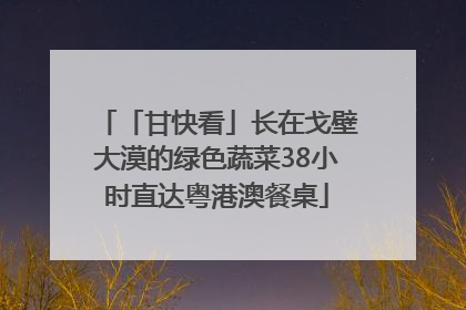 「甘快看」长在戈壁大漠的绿色蔬菜38小时直达粤港澳餐桌