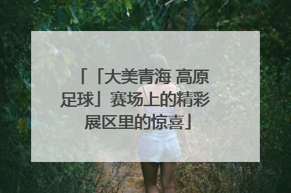 「大美青海 高原足球」赛场上的精彩 展区里的惊喜