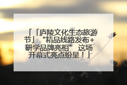 「庐陵文化生态旅游节」“精品线路发布+研学品牌亮相” 这场开幕式亮点纷呈！