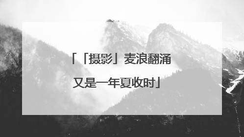 「摄影」麦浪翻涌 又是一年夏收时
