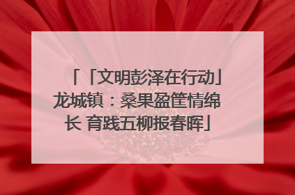 「文明彭泽在行动」龙城镇：桑果盈筐情绵长 育践五柳报春晖