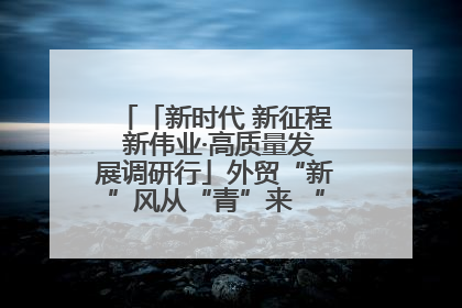 「新时代 新征程 新伟业·高质量发展调研行」外贸“新”风从“青”来 “双向奔赴”启新程