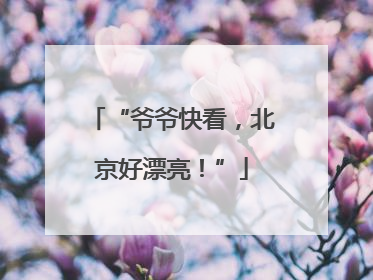 “爷爷快看，北京好漂亮！”