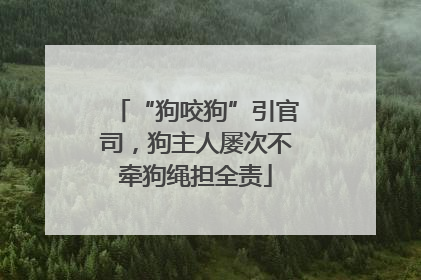 “狗咬狗”引官司，狗主人屡次不牵狗绳担全责