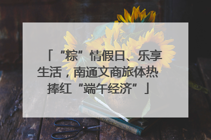 “粽”情假日、乐享生活，南通文商旅体热捧红“端午经济”