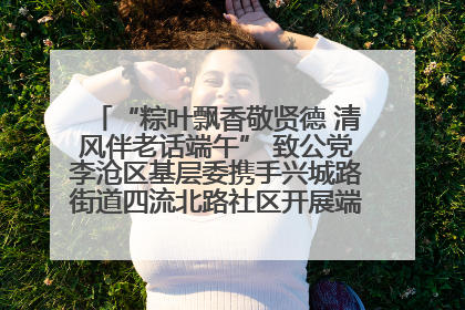 “粽叶飘香敬贤德 清风伴老话端午” 致公党李沧区基层委携手兴城路街道四流北路社区开展端午节主题活动