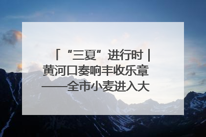 “三夏”进行时｜黄河口奏响丰收乐章——全市小麦进入大面积收获高峰期