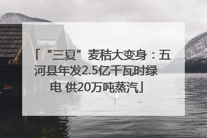 “三夏”麦秸大变身：五河县年发2.5亿千瓦时绿电 供20万吨蒸汽