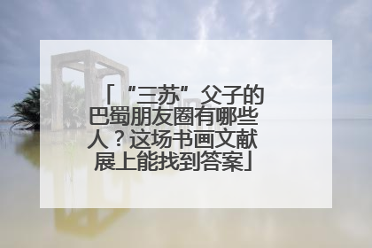 “三苏”父子的巴蜀朋友圈有哪些人？这场书画文献展上能找到答案