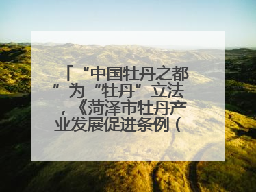 “中国牡丹之都”为“牡丹”立法，《菏泽市牡丹产业发展促进条例（草案建议修改稿）》公开征求意见