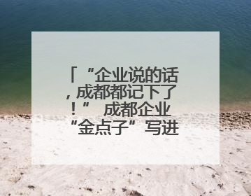 “企业说的话，成都都记下了！” 成都企业“金点子”写进数字文创政策