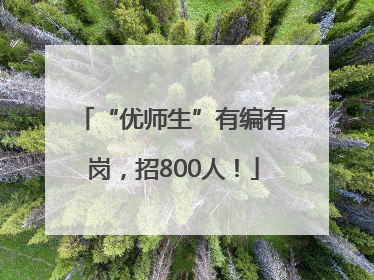 “优师生”有编有岗，招800人！