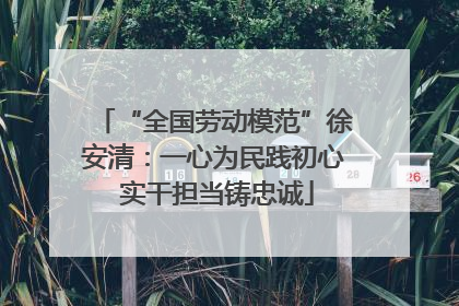 “全国劳动模范”徐安清：一心为民践初心 实干担当铸忠诚