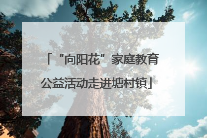 “向阳花”家庭教育公益活动走进塘村镇