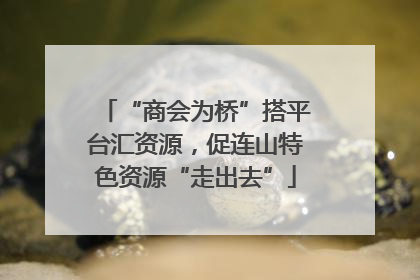 “商会为桥”搭平台汇资源，促连山特色资源“走出去”