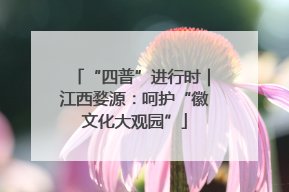 “四普”进行时｜江西婺源：呵护“徽文化大观园”