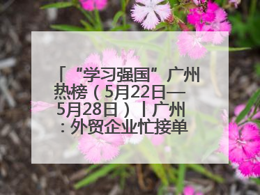 “学习强国”广州热榜（5月22日—5月28日）丨广州：外贸企业忙接单 港口码头忙出货