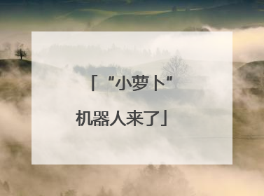 “小萝卜”机器人来了