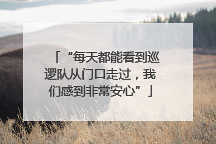 “每天都能看到巡逻队从门口走过，我们感到非常安心”