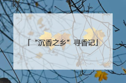 “沉香之乡”寻香记