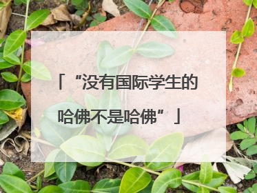 “没有国际学生的哈佛不是哈佛”