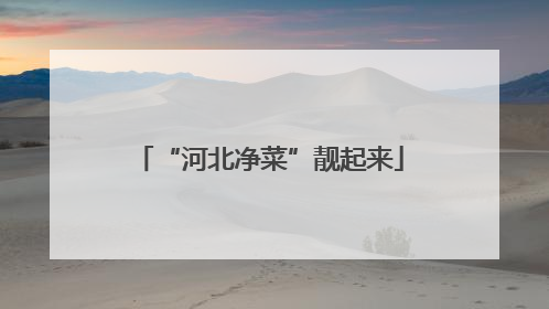 “河北净菜”靓起来