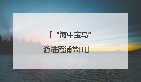 “海中宝马”游进霞浦盐田