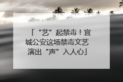 “艺”起禁毒！宜城公安这场禁毒文艺演出“声”入人心