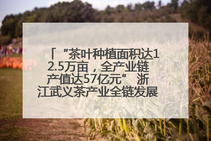 “茶叶种植面积达12.5万亩，全产业链产值达57亿元” 浙江武义茶产业全链发展“加速度”