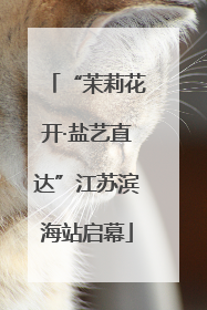 “茉莉花开·盐艺直达”江苏滨海站启幕