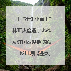 “街头小霸王”林正杰癌逝，老战友许国泰曝他遗愿：没打垮民进党