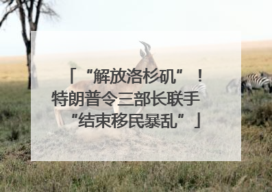 “解放洛杉矶”！特朗普令三部长联手“结束移民暴乱”