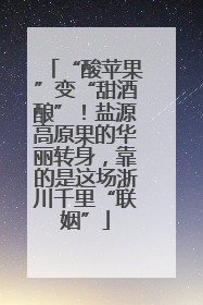 “酸苹果”变“甜酒酿”！盐源高原果的华丽转身，靠的是这场浙川千里“联姻”