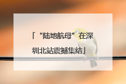 “陆地航母”在深圳北站震撼集结