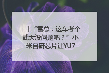 “雷总：这车考个武大没问题吧？”小米自研芯片让YU7会学习｜汽车科技