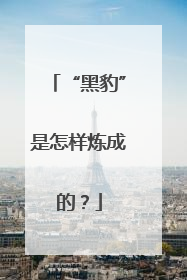 “黑豹”是怎样炼成的？