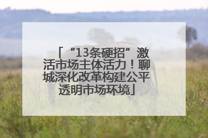 “13条硬招”激活市场主体活力！聊城深化改革构建公平透明市场环境