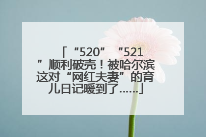 “520”“521”顺利破壳！被哈尔滨这对“网红夫妻”的育儿日记暖到了……