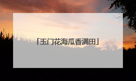 玉门花海瓜香满田