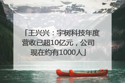 王兴兴：宇树科技年度营收已超10亿元，公司现在约有1000人