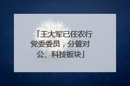 王大军已任农行党委委员，分管对公、科技板块