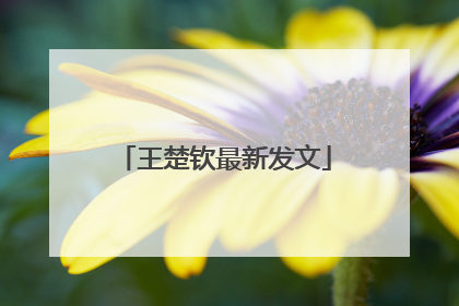 王楚钦最新发文