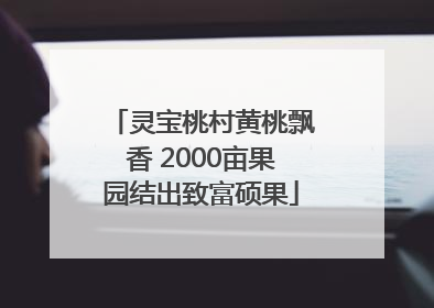 灵宝桃村黄桃飘香 2000亩果园结出致富硕果