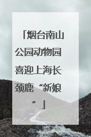 烟台南山公园动物园喜迎上海长颈鹿“新娘”