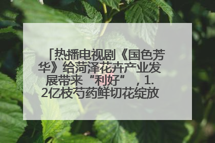 热播电视剧《国色芳华》给菏泽花卉产业发展带来“利好”，1.2亿枝芍药鲜切花绽放“国色芳华”