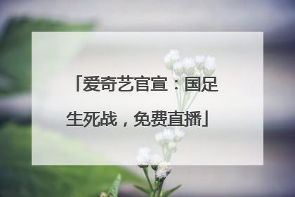 爱奇艺官宣：国足生死战，免费直播