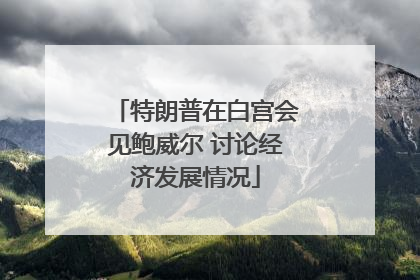 特朗普在白宫会见鲍威尔 讨论经济发展情况